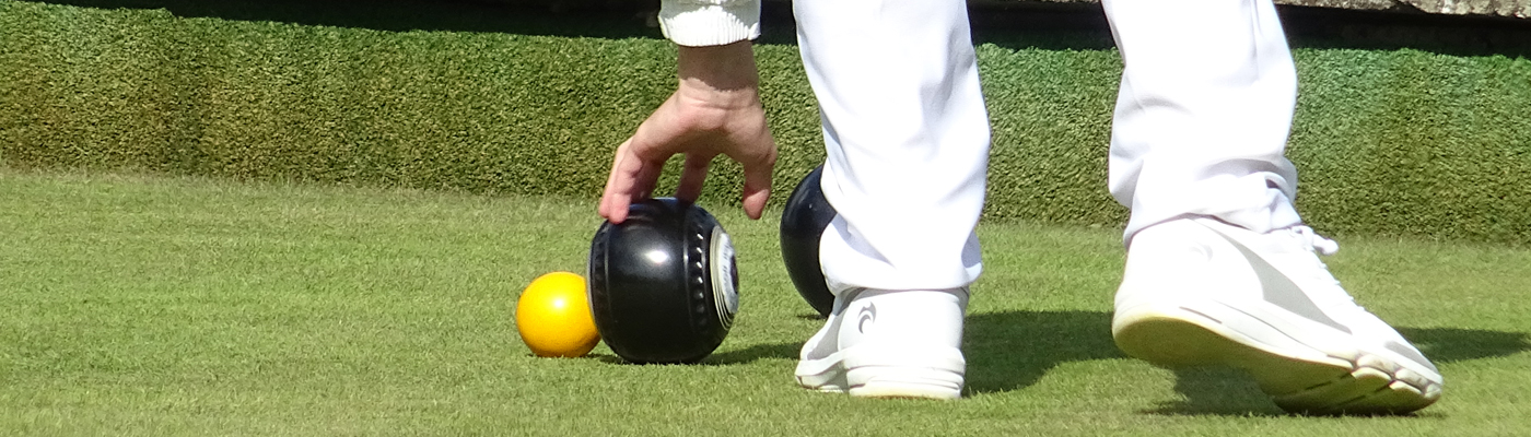 bowls green close-up